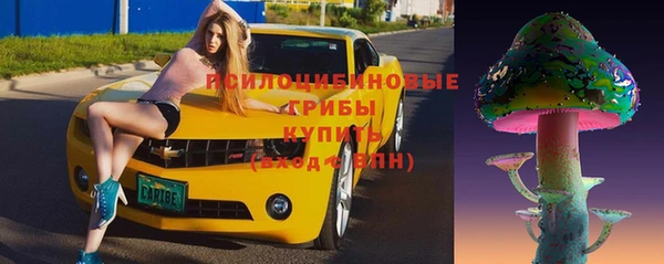 прущие крисы Михайловск