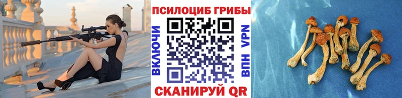 Галлюциногенные грибы GOLDEN TEACHER  гидра ТОР  Межгорье  хочу  